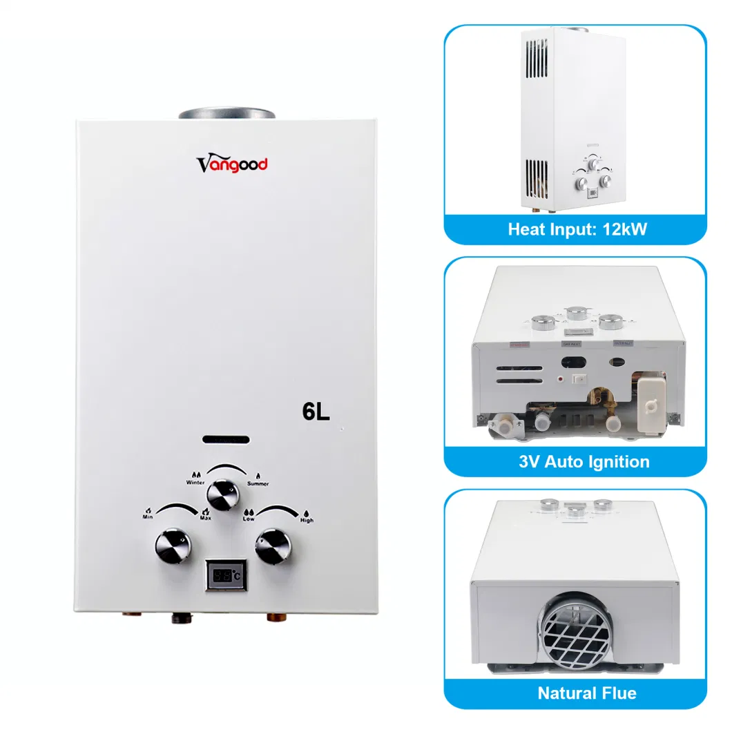 China Tankless Instant Hot Natural Propane LPG Bathroom Shower Gas Water Heaters